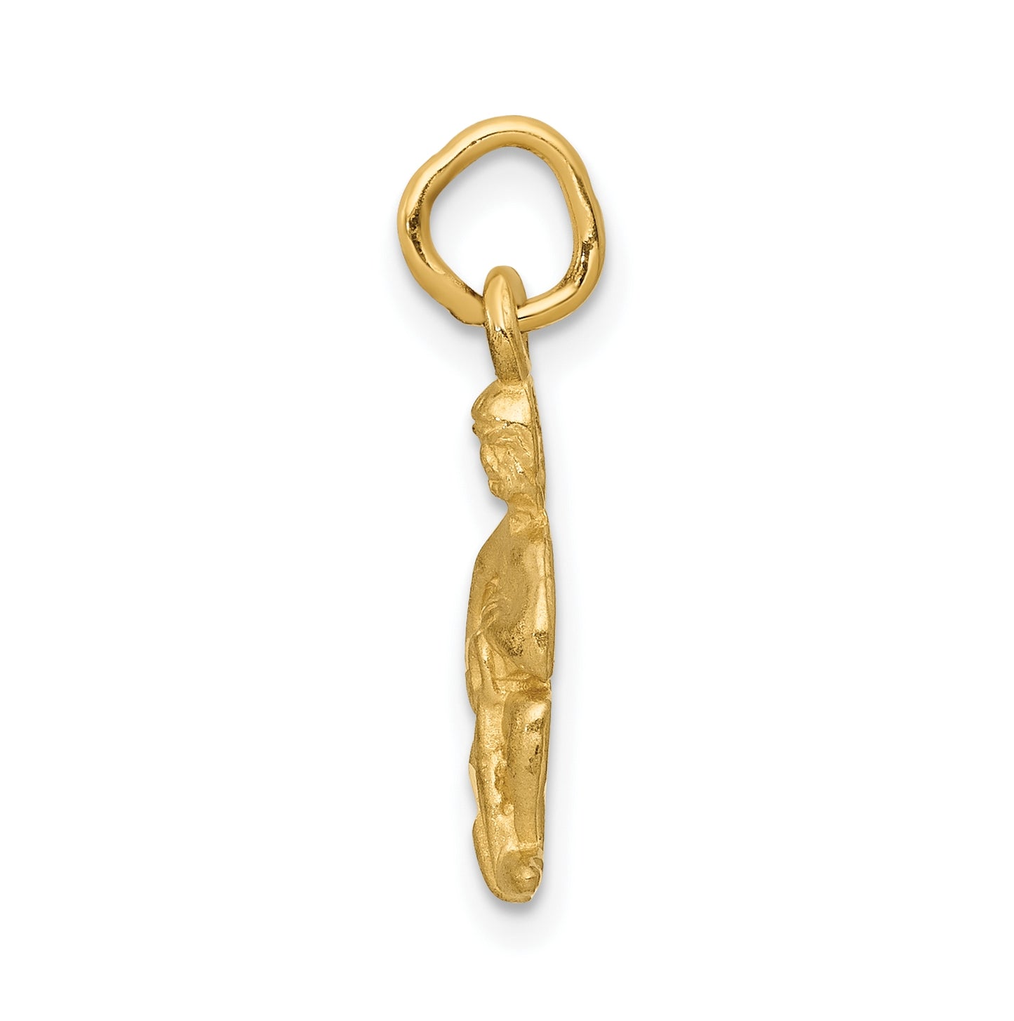 10K Yellow Gold Aquarius Zodiac-Charm