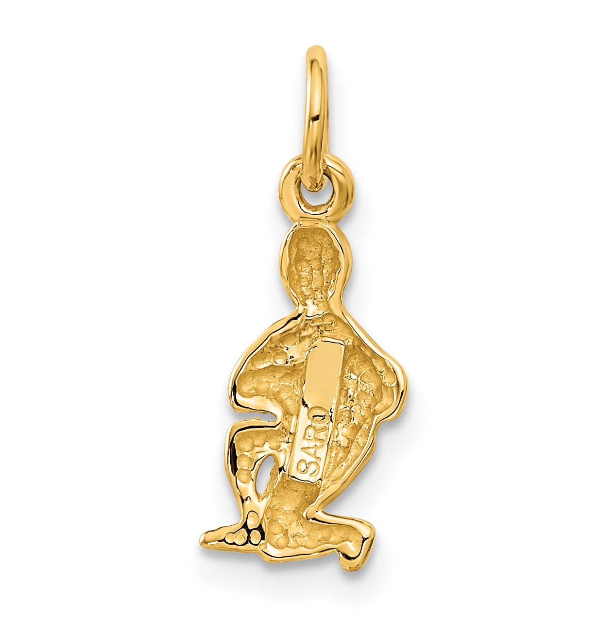 10K Yellow Gold Aquarius Zodiac-Charm