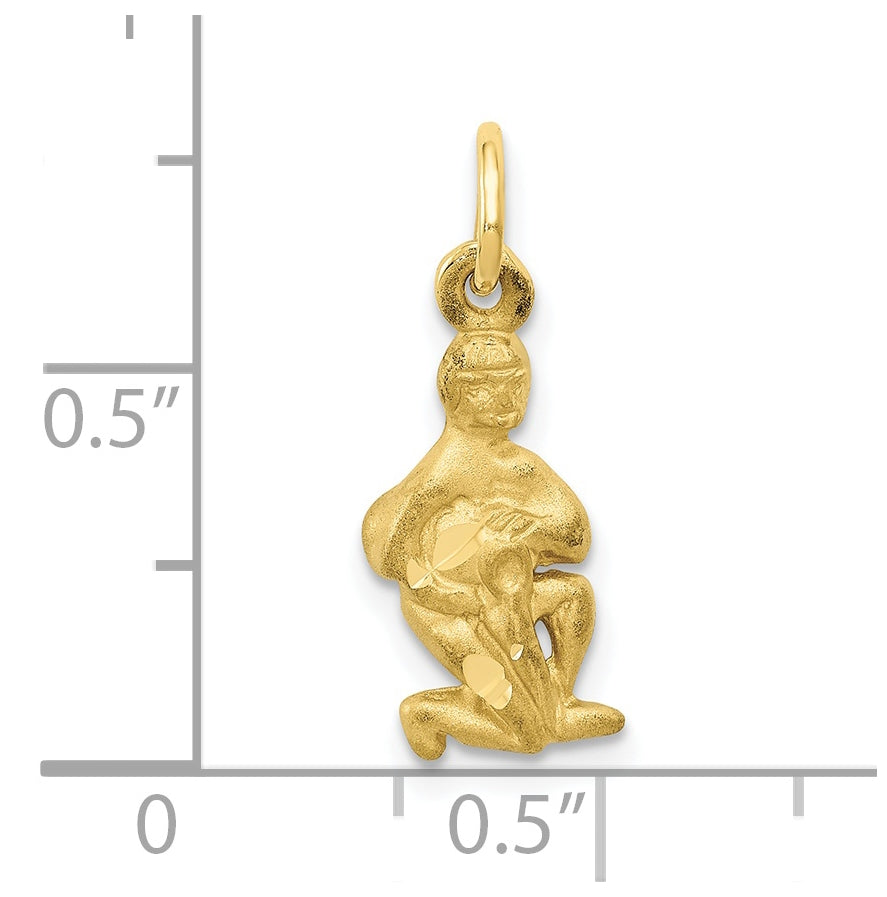 10K Yellow Gold Aquarius Zodiac-Charm