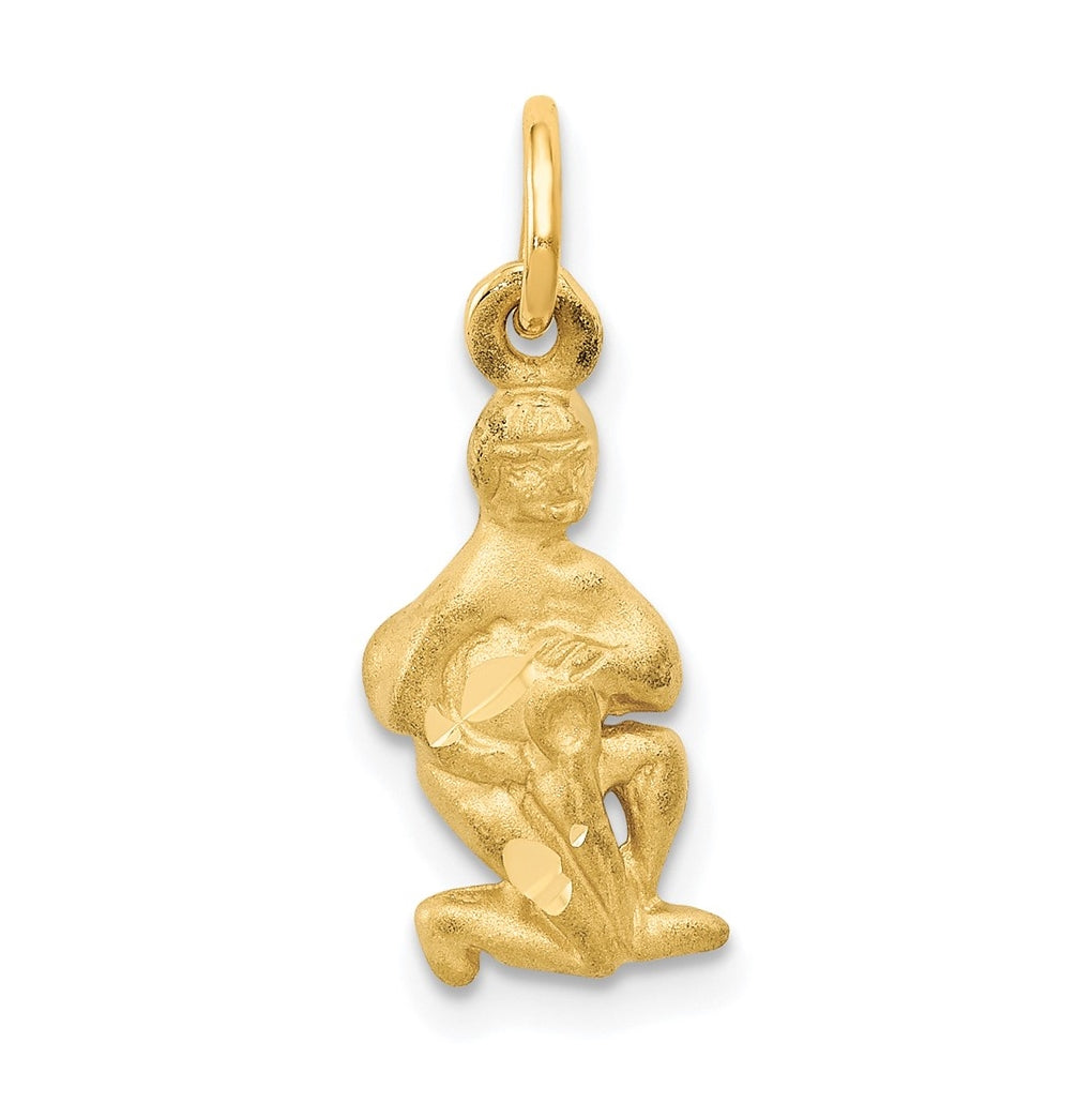 10K Yellow Gold Aquarius Zodiac-Charm