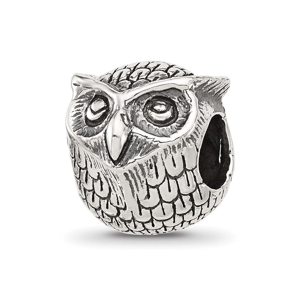 Sterling Silver Reflections Antiqued Owl Bead